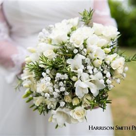 fwthumb4Harrison Smith Photography.jpg